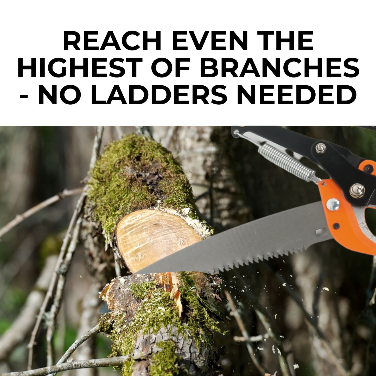 Branch Master 9000 | Manual Pole Saw | 9M Long