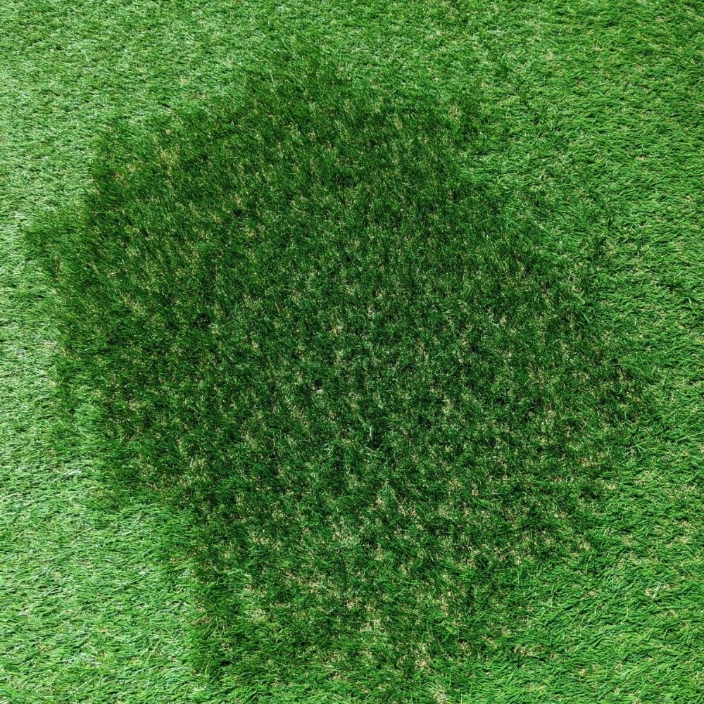 Artificial Grass Rake
