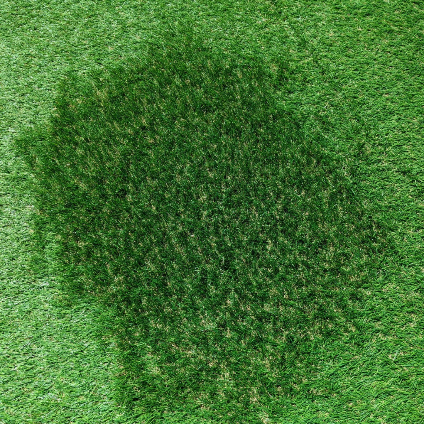 Artificial Grass Rake with Hose Attachment