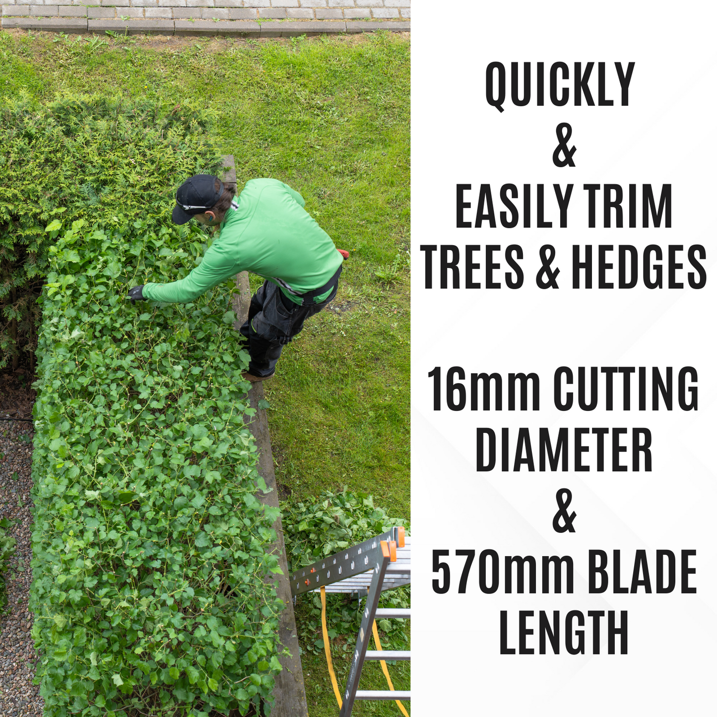 Cordless Hedge Trimmer