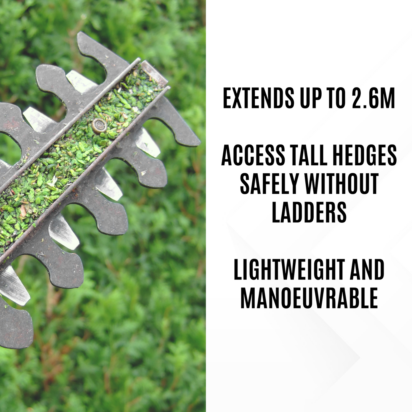 Cordless Pole Hedge Trimmer