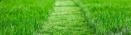 How to Sharpen Lawnmower Blades for a Healthier, Cleaner Lawn