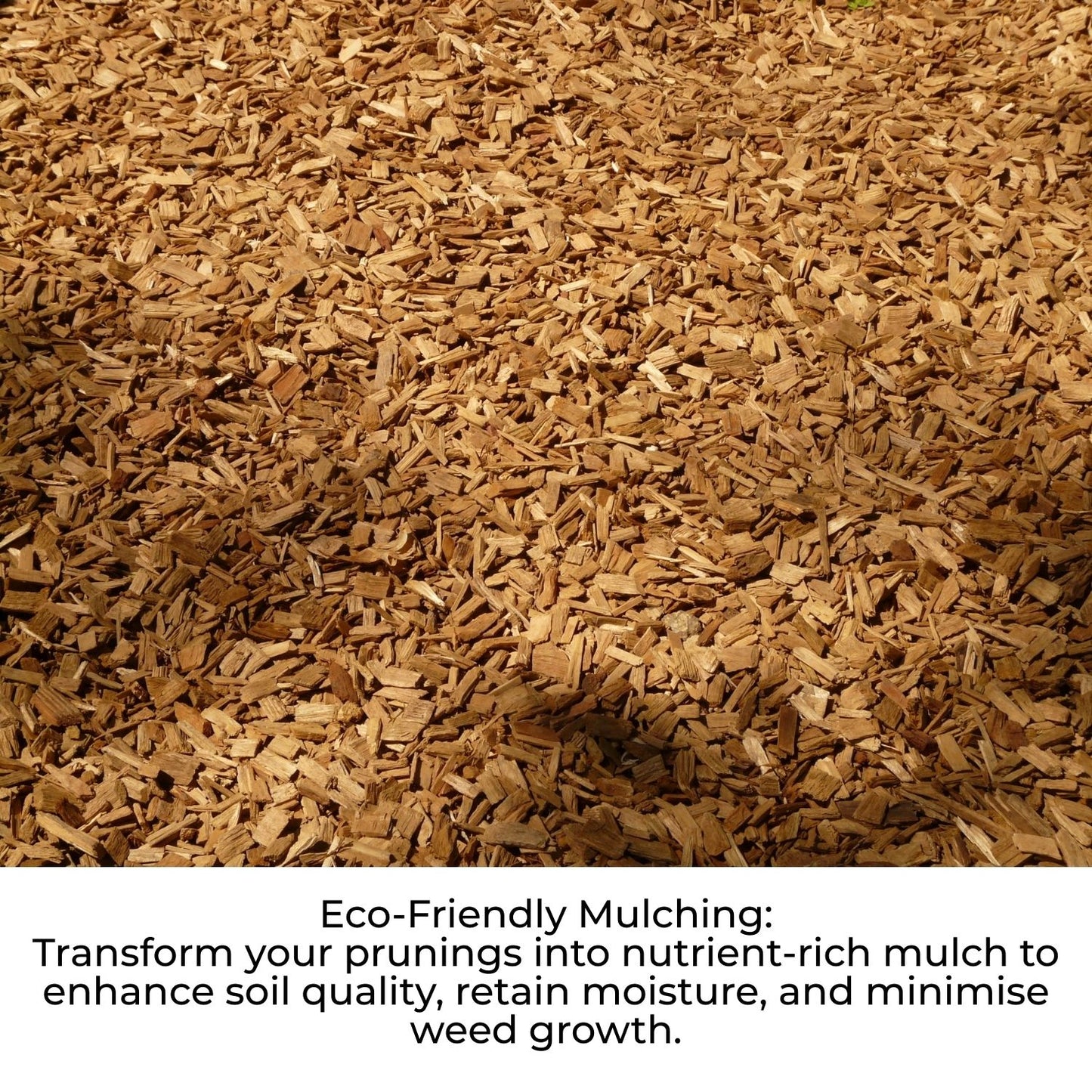 Lazy-Shred - Electric Garden Shredder with Collection Box