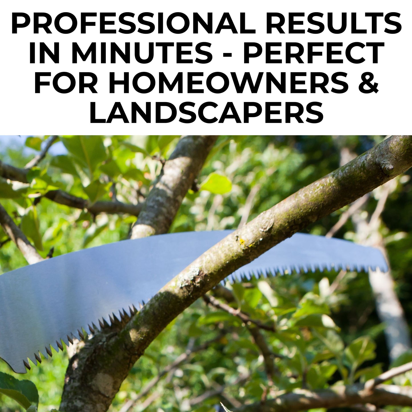 Branch Master 7000 | Manual Pole Saw | 7M Long